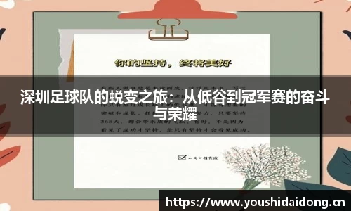 深圳足球队的蜕变之旅：从低谷到冠军赛的奋斗与荣耀